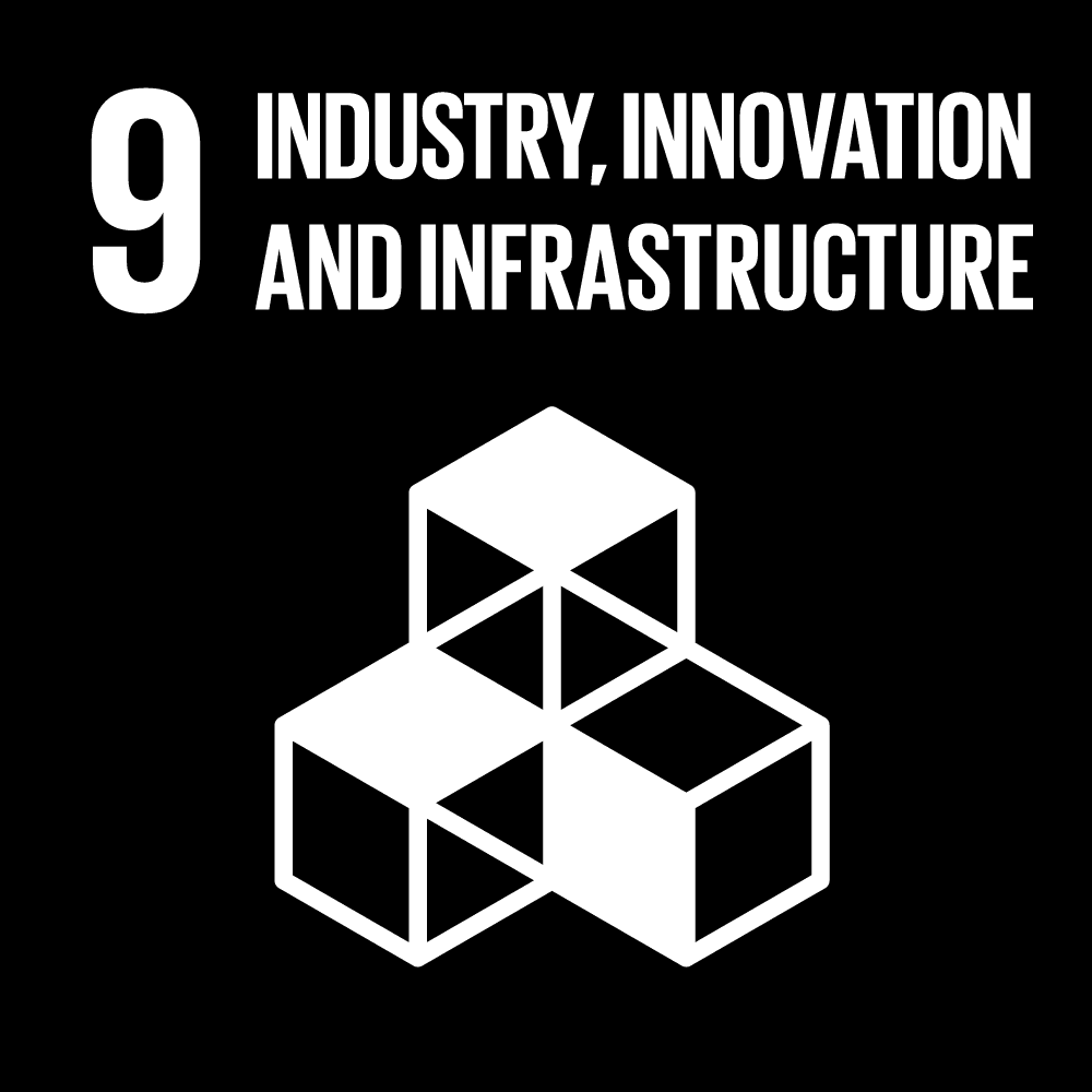 SDG 9: Industry, Innovation and Infrastructure