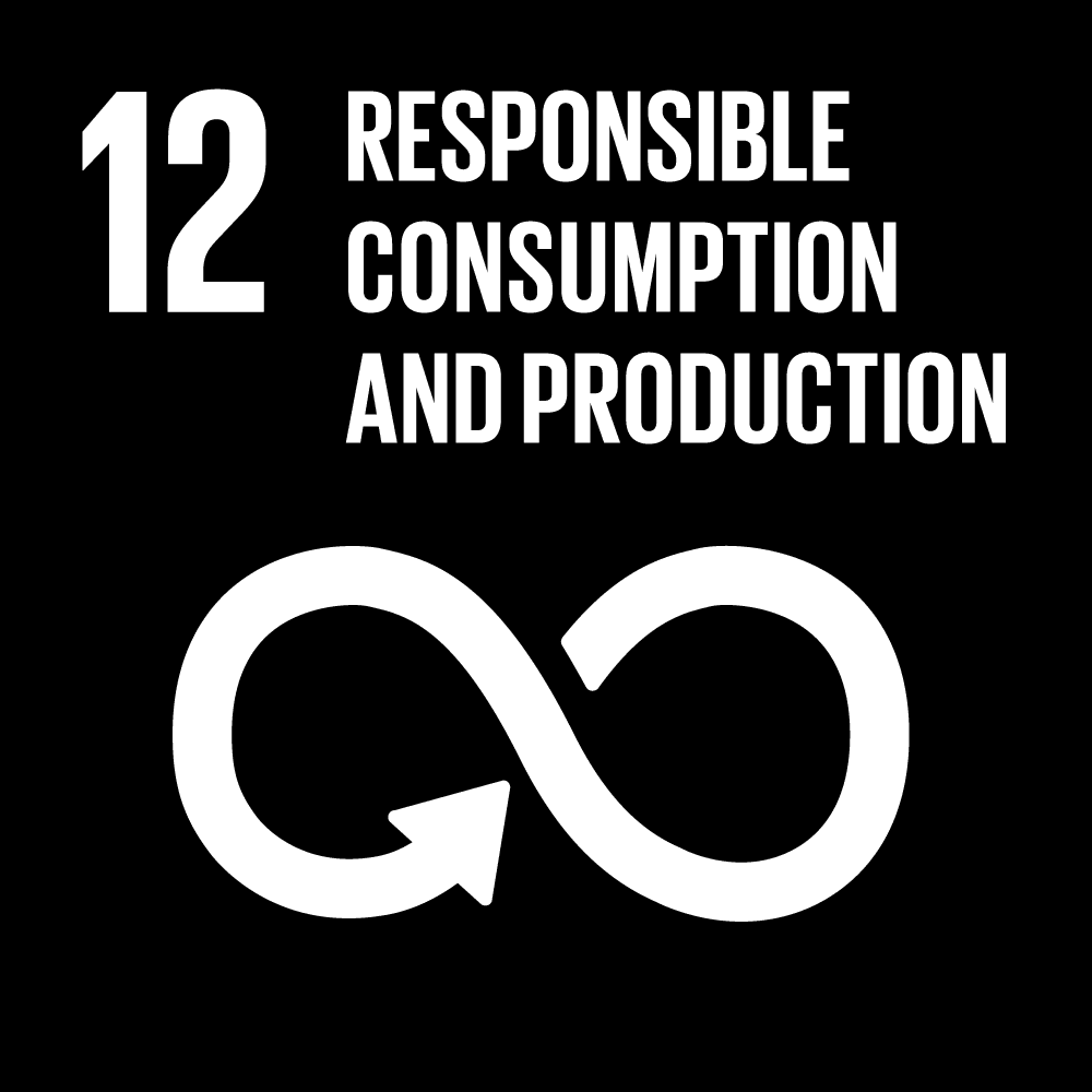 SDG 12: Responsible Consumption and Production